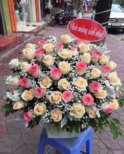 Shop hoa tươi Đường Lê Hồng Phong Ngô Quyền Hải Phòng